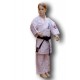 Karategi Ashihara Master