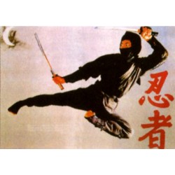 Poster arte marțiale H-220 + Ninja